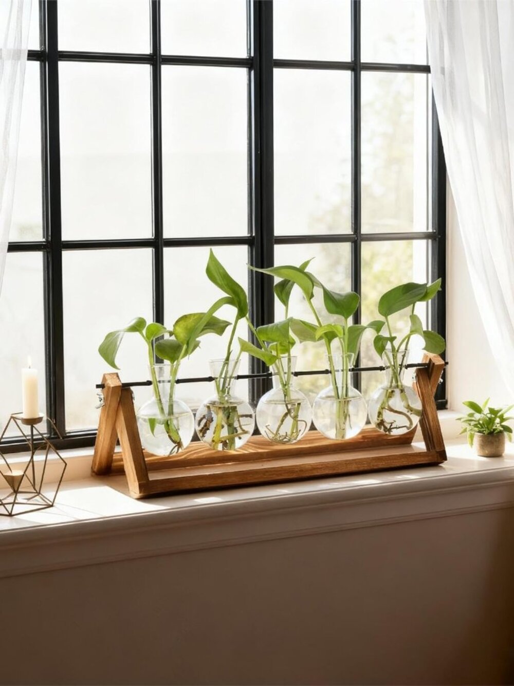 Plant Propagation Station, Propagation Vases For Plants, Unique Gardening Birthd View 3